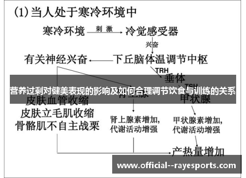 营养过剩对健美表现的影响及如何合理调节饮食与训练的关系 营养过剩对健美表现的影响及如何合理调节饮食与训练的关系